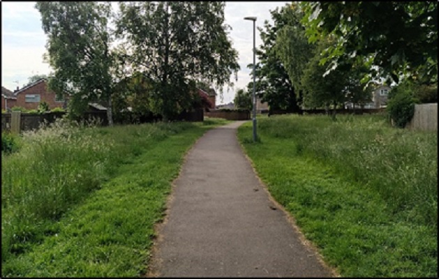 Path with strips of grass cut on either side