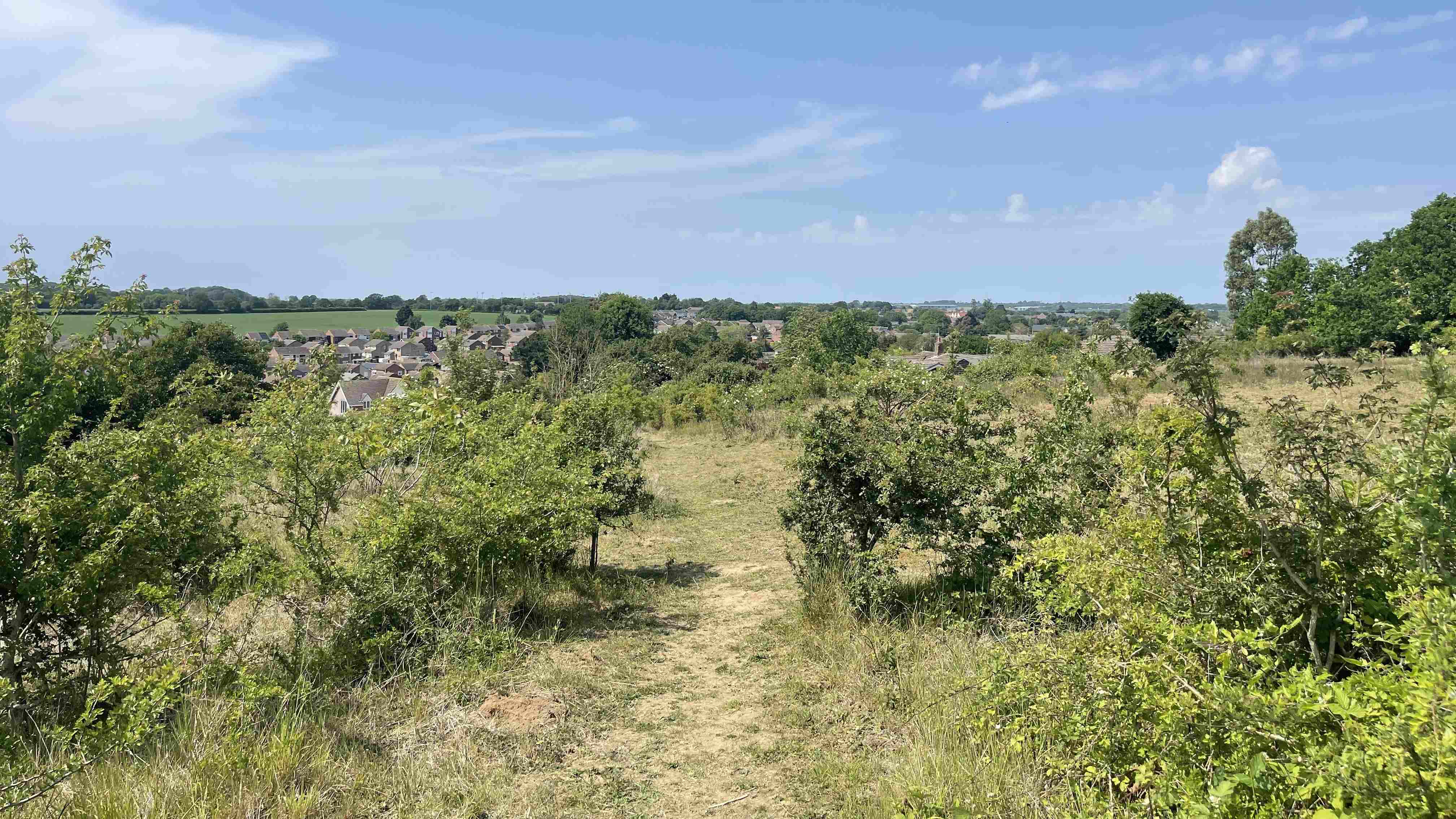 Chalkeith nature reserve