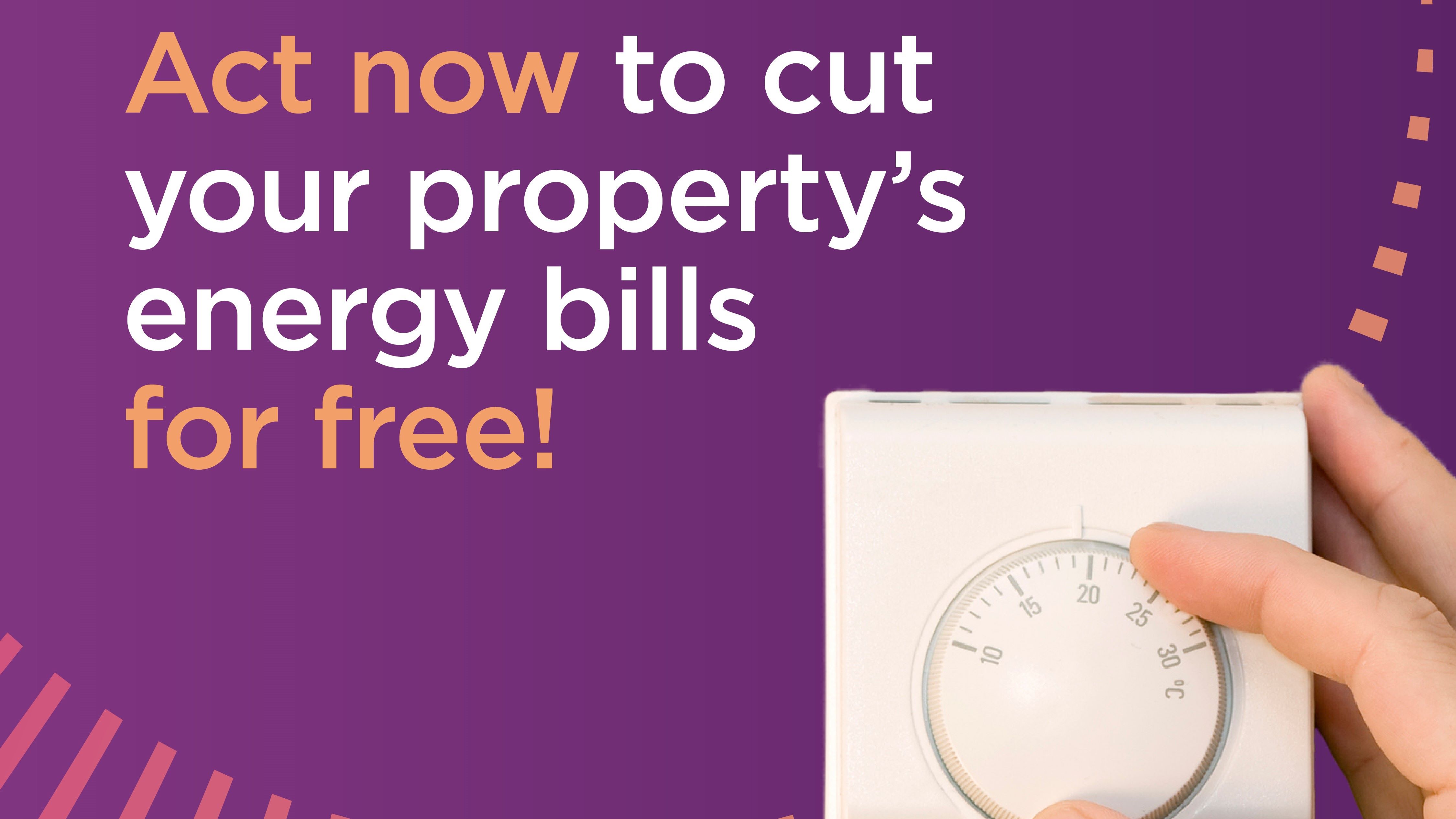 Warm Homes Suffolk web story