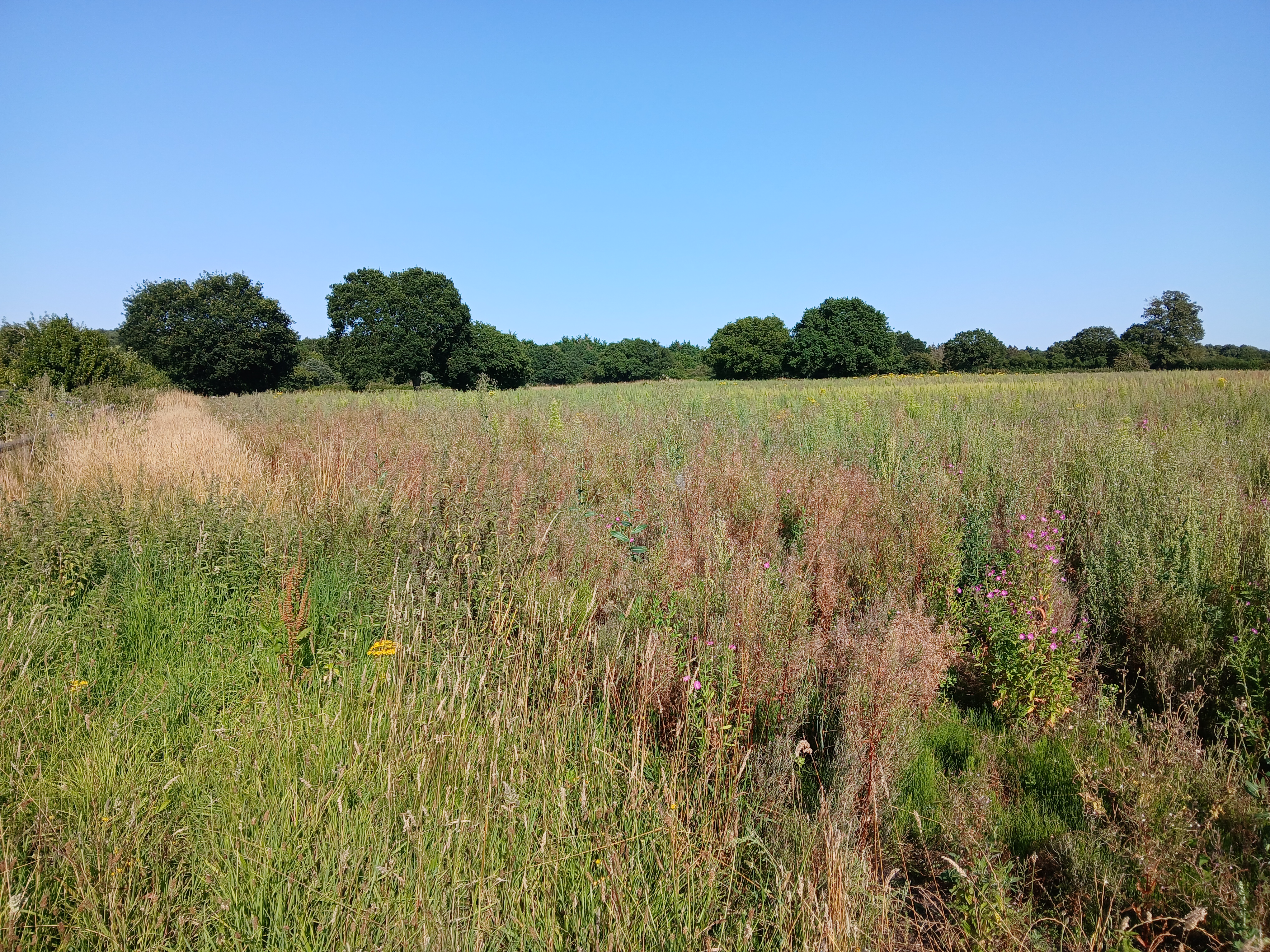 Land in Babergh and Mid Suffolk